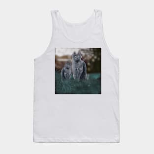 Persians at dusk Tank Top